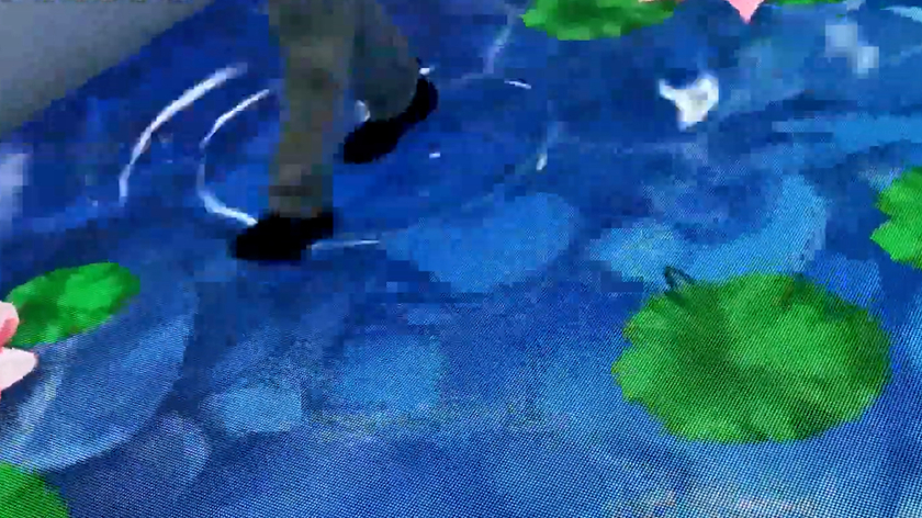 ɻLEDש
