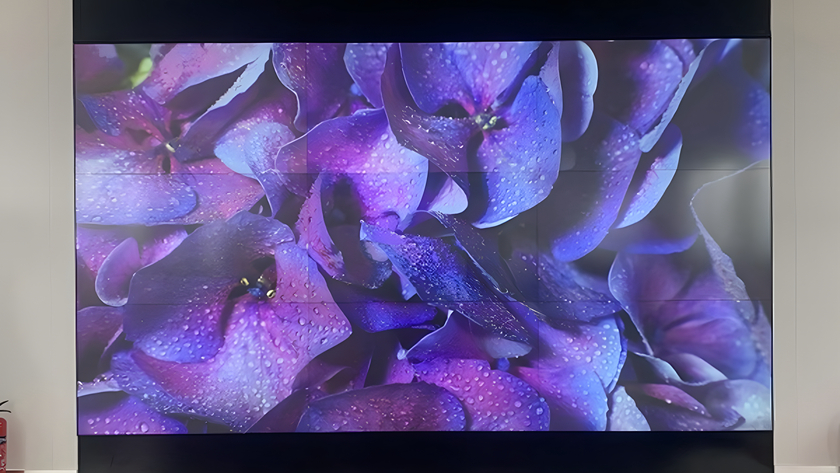 ۲컨޷ƴչʾ