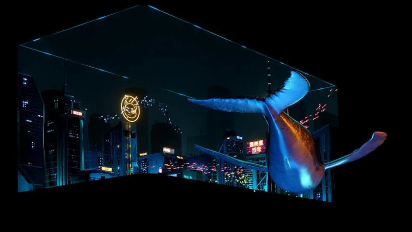 3DչʾЧ