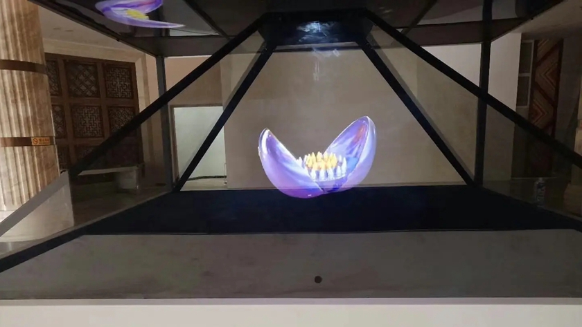 ȫϢͶӰĲƷչʾЧ