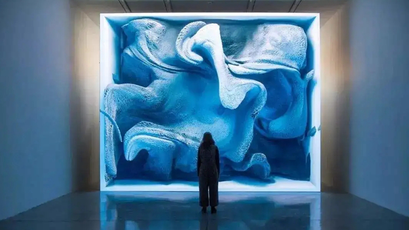 չ3DӦչʾЧ